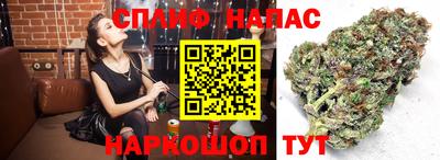 сатива Бугуруслан