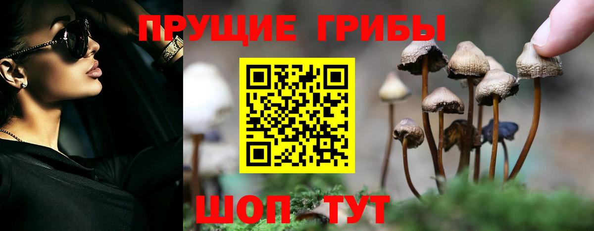 Псилоцибиновые грибы ЛСД  Вход с VPN  Заинск 